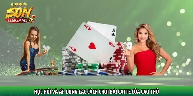 hoc-hoi-cach-choi-bai-catte-cua-cao-thu