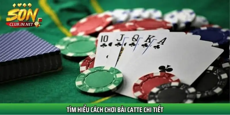 tim-hieu-cach-choi-bai-catte-chi-tiet